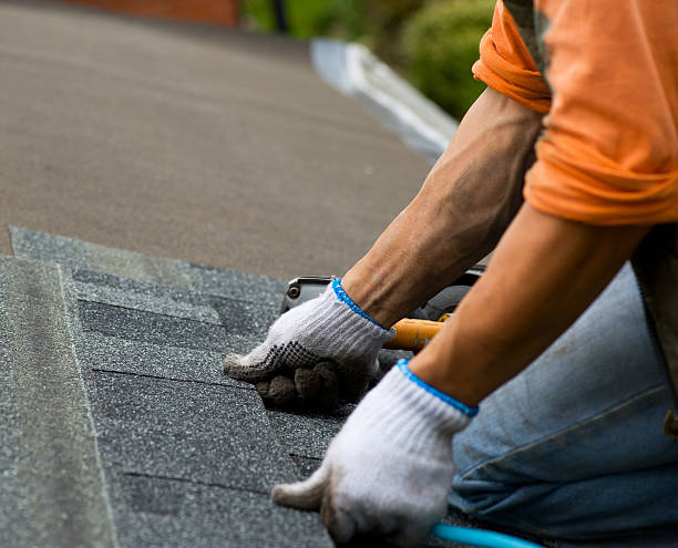 Best Roof Gutter Cleaning  in Charleston, SC